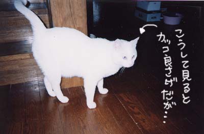 �Ƃ̊K�i�̑O�`