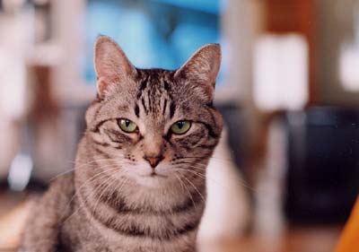 �n���T��������