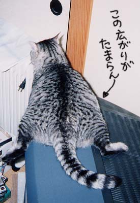 �Ƃɂ����܂���