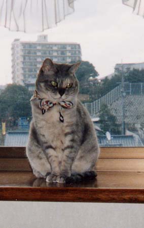 ���͉䂪�Ƃ���̒��߁`