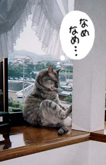 �ёU���͍D��