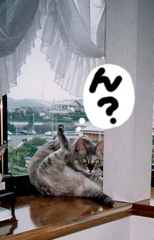 �����Ă˂�������