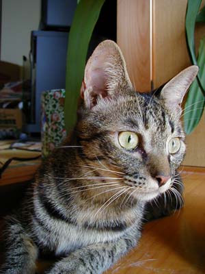 ����났���`��