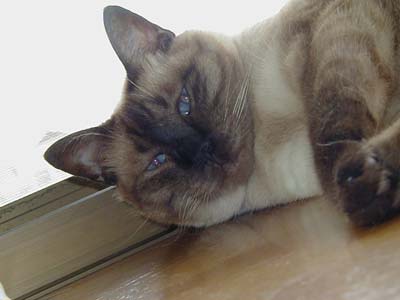 ���ɂ�ɂ����