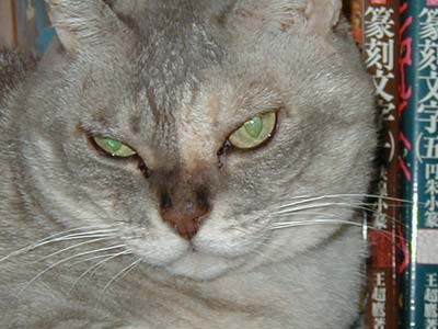 �{�I�苒��