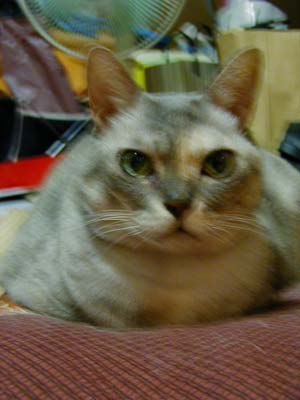 �ڂ����Ɣ��l�ɁI(��)