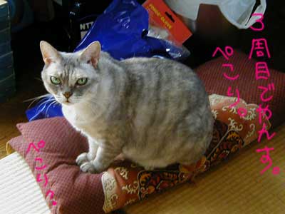 ���������`�`�i�H�H�j