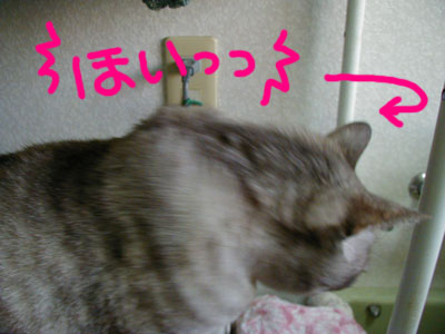 �ق����I�I