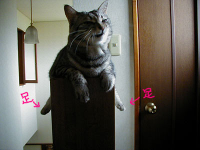 �܂����Ȃ����̂͂Ȃ����