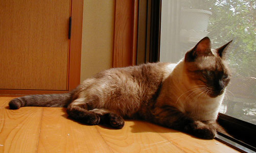 �������`�`�`����