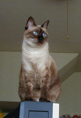 �����܂���