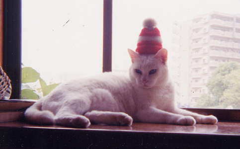 �����Ɖ䖝�̂�