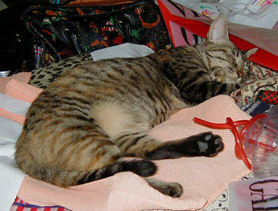 ���₷�݃i�i