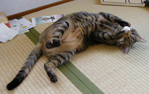 �������`��