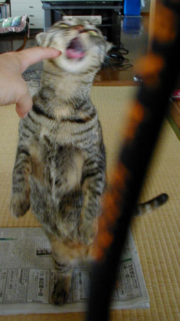 ����[�����I�I