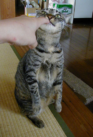 �ނ��`�`��E�E�E