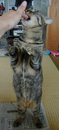 ���݂゠�݂゠�݂�E�E�E