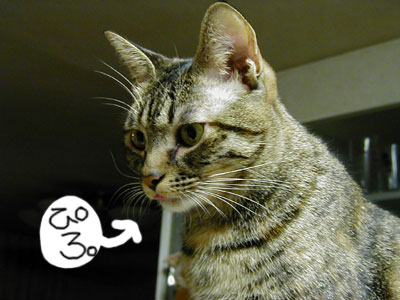 ��o�Ă܂��`�B