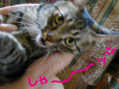 �����A�{�����I