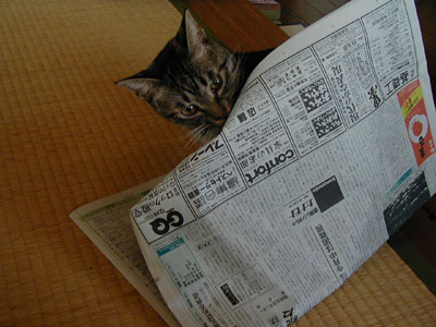 �����ɁA���������āE�E�E�ƁB