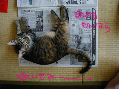 �Ȃ񂩕��傠��́H�H