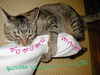 ����Ⴄ��Ⴄ���`�`�����I�I