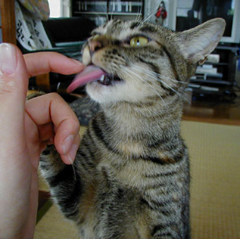 ���܂��܁`��