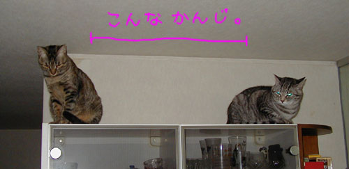 ����ȏ�͊댯