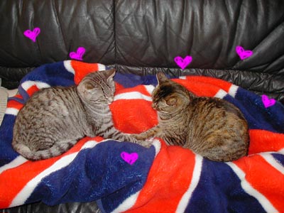 ��Ԃ�Ԃ��ۂ�������̂��