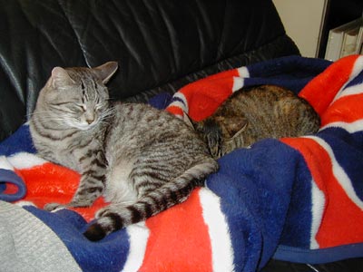 �ȂȂ����A����������