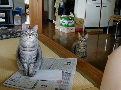 ������H�Ȃ���H�H