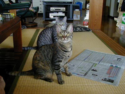 ������`���H�H