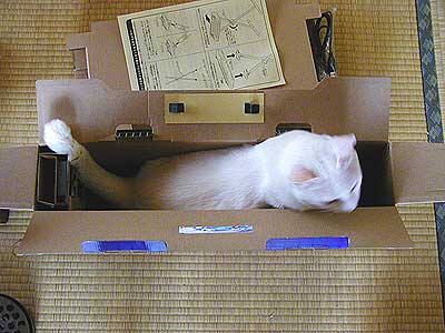 �͂܂��Ă܂�