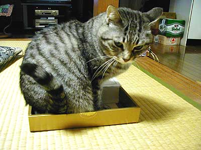 �����������`