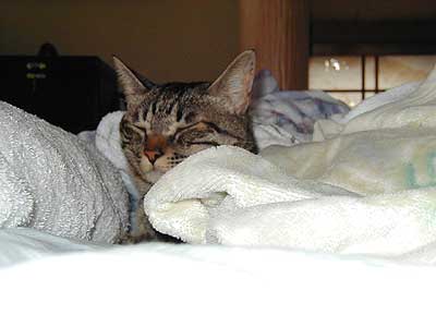 �Ɋy�����炭�`�B