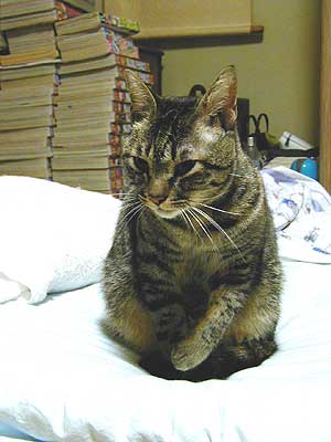 �N���Ȃ���